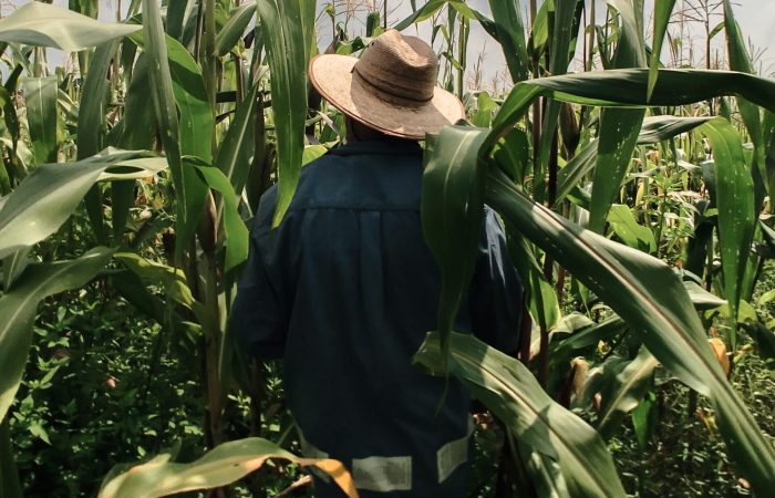 erik-aquino-oHSmhHK-BB0-unsplash