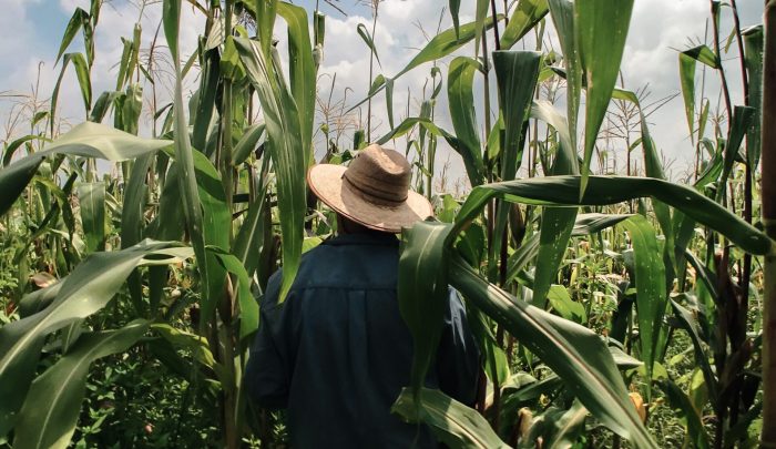 erik-aquino-oHSmhHK-BB0-unsplash